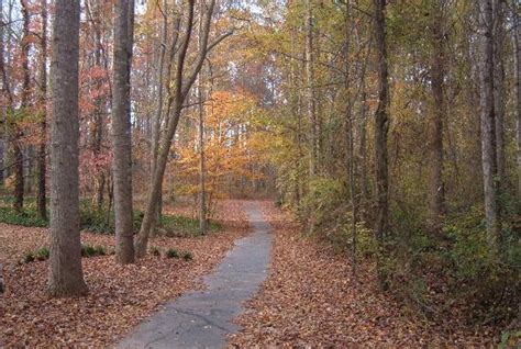 Peachtree City Cart Path, Georgia .